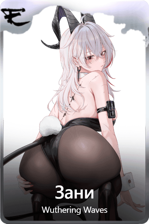 Зани