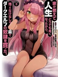 У меня сгорел дом, и чтобы подсластить жизнь, на оставшиеся деньги я купил рабыню-темного эльфа